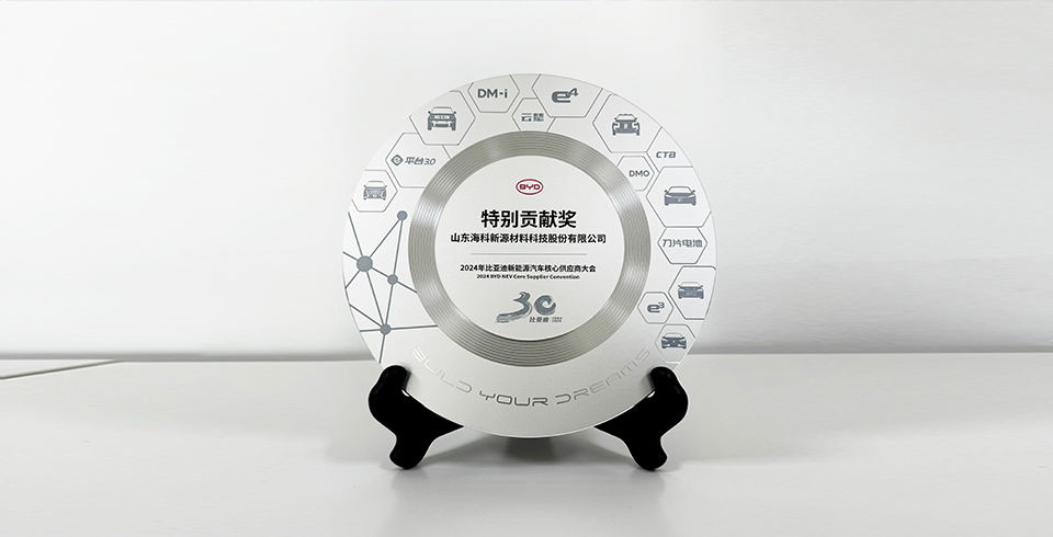 買球網(wǎng)站連續(xù)四年再度榮獲比亞迪2024年“特別貢獻獎”
