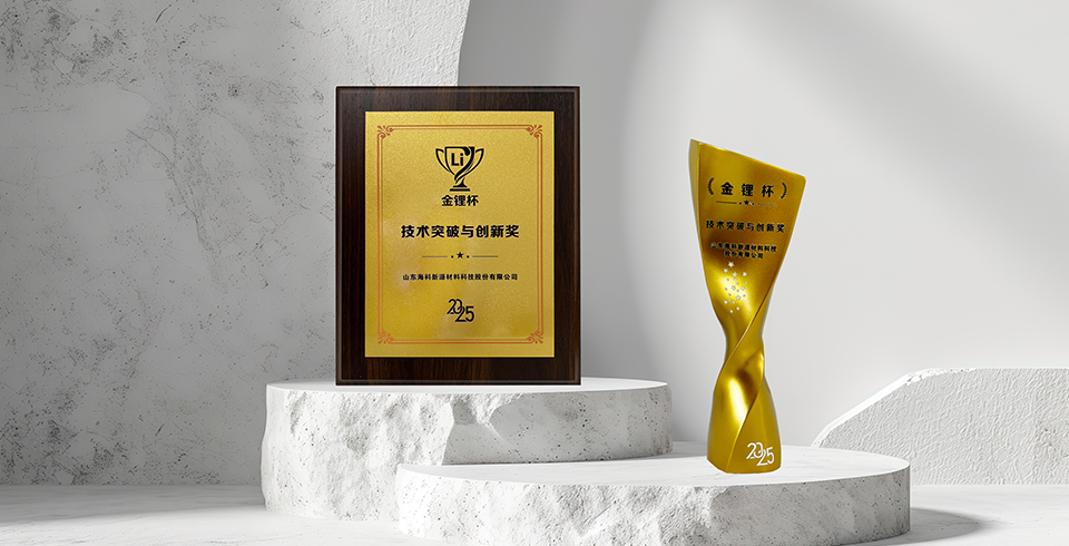 喜報 | 買球網(wǎng)站榮獲真鋰研究“技術(shù)突破與創(chuàng)新獎”